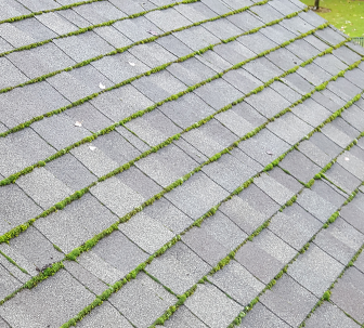 photo of a roof with moss