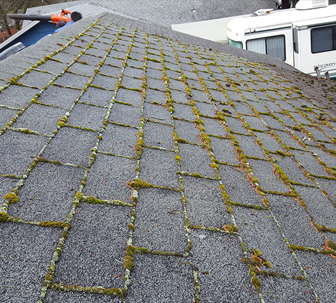 professional moss removal service in Vancouver, WA