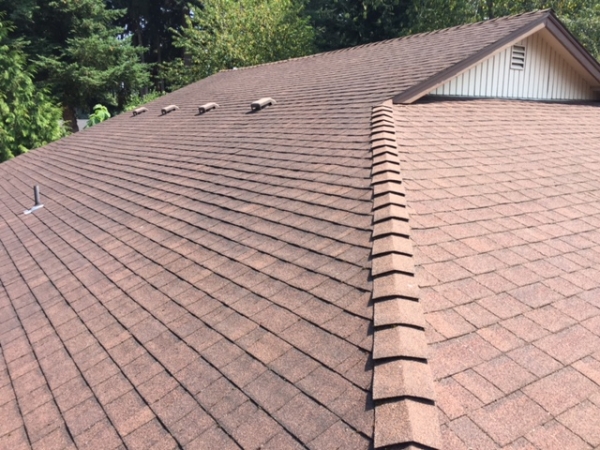 fixed roofing picture