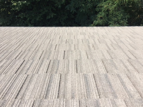 roof cleaning picture after service from Grant Roofing & Pressure Washing
