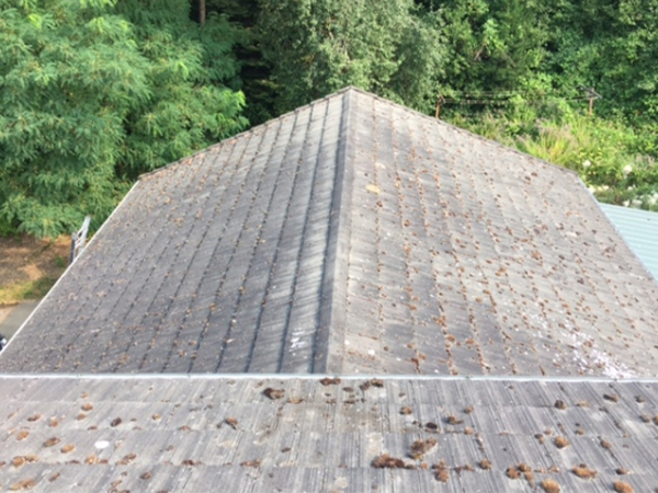 Roof top before fixing